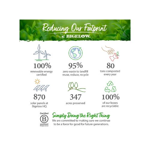 Bigelow Simply Cinnamon Apple Seasonal Tea, Caffeine Free, Herbal Tea Bags, 18 Count - Image 2