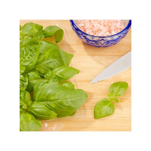 Fresh Basil, 0.5 oz Clamshell - Image 2