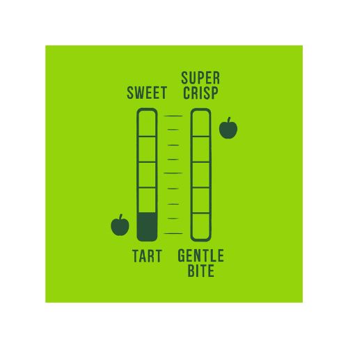 Fresh Granny Smith Apples, 3 lb Bag - Image 7